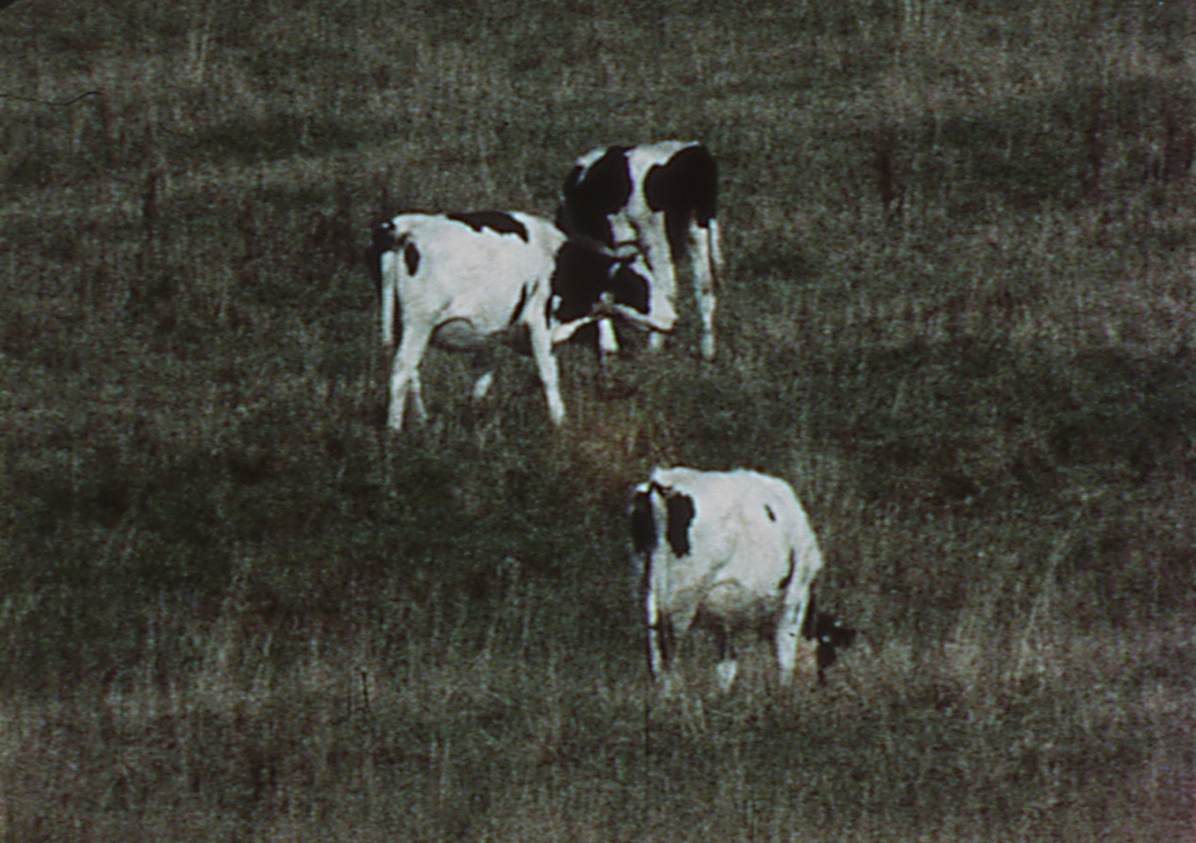 Public Domain / Summer Solstice / Pas de Trois / Short Films 1-10 (1972 / 1974 / 1975 / 1975) still