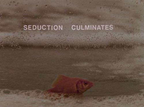 Surface Tension / Carrots and Peas / Lemon / Prince Ruperts Drops / Artificial Light / Less (1968 / 1969 / 1969 / 1969 / 1969 / 1973) still