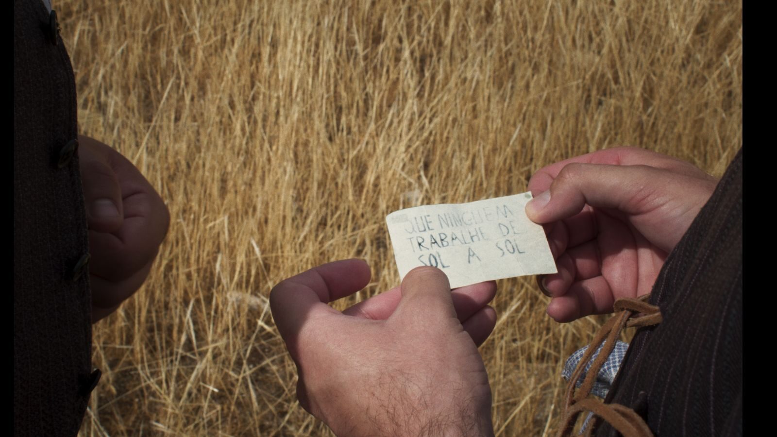 Marta Mateus: Carte Blanche still