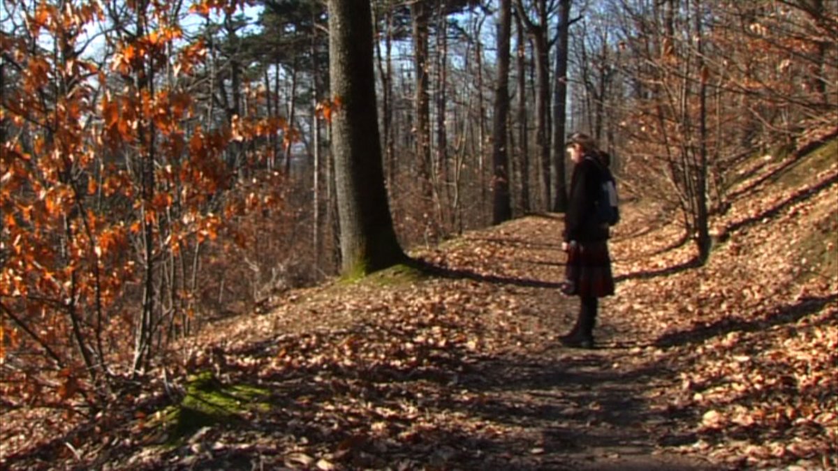 Towards the Light (2024) still