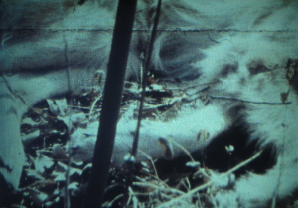 Early Abstractions / Valentin de las Sierras / Sirius Remembered / Ming Green (1939-1956 / 1971 / 1959 / 1966) still