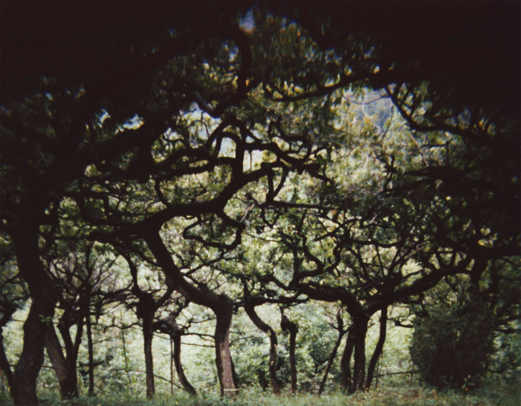 The Hedge Theater / The Stoas / The Ground (1986-90/2002 / 1991-97 / 1993-2001) still