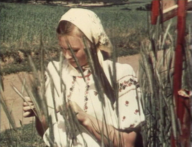 Bountiful Summer (1951) still
