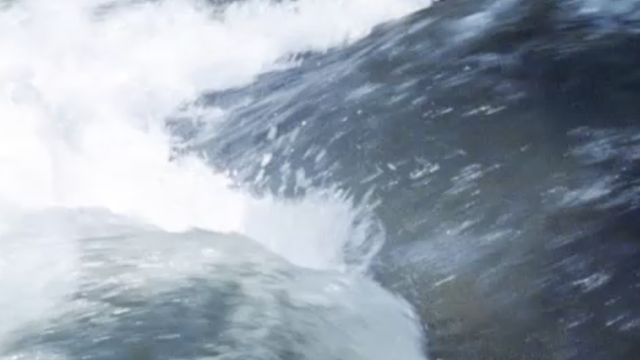 Foryannfromrose / Turbulence / Tartarughe d’Acqua / La Source de la Loire (2015 / 2015 / 2017 / 2021) still